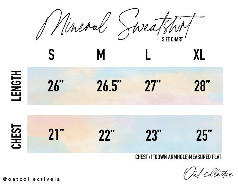 AMERICA EST 1776 Mineral Graphic Sweatshirt