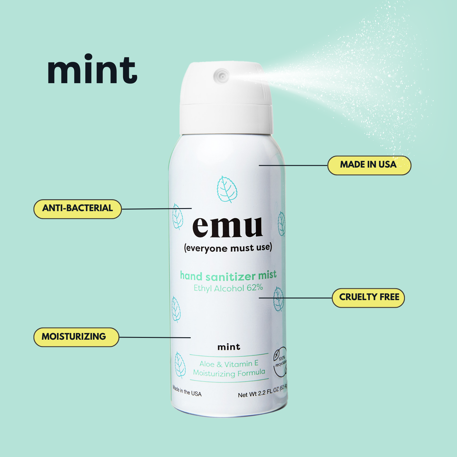 Mint Moisturizing Sanitizer Mist 2.2oz - 24 Pack (Copy)