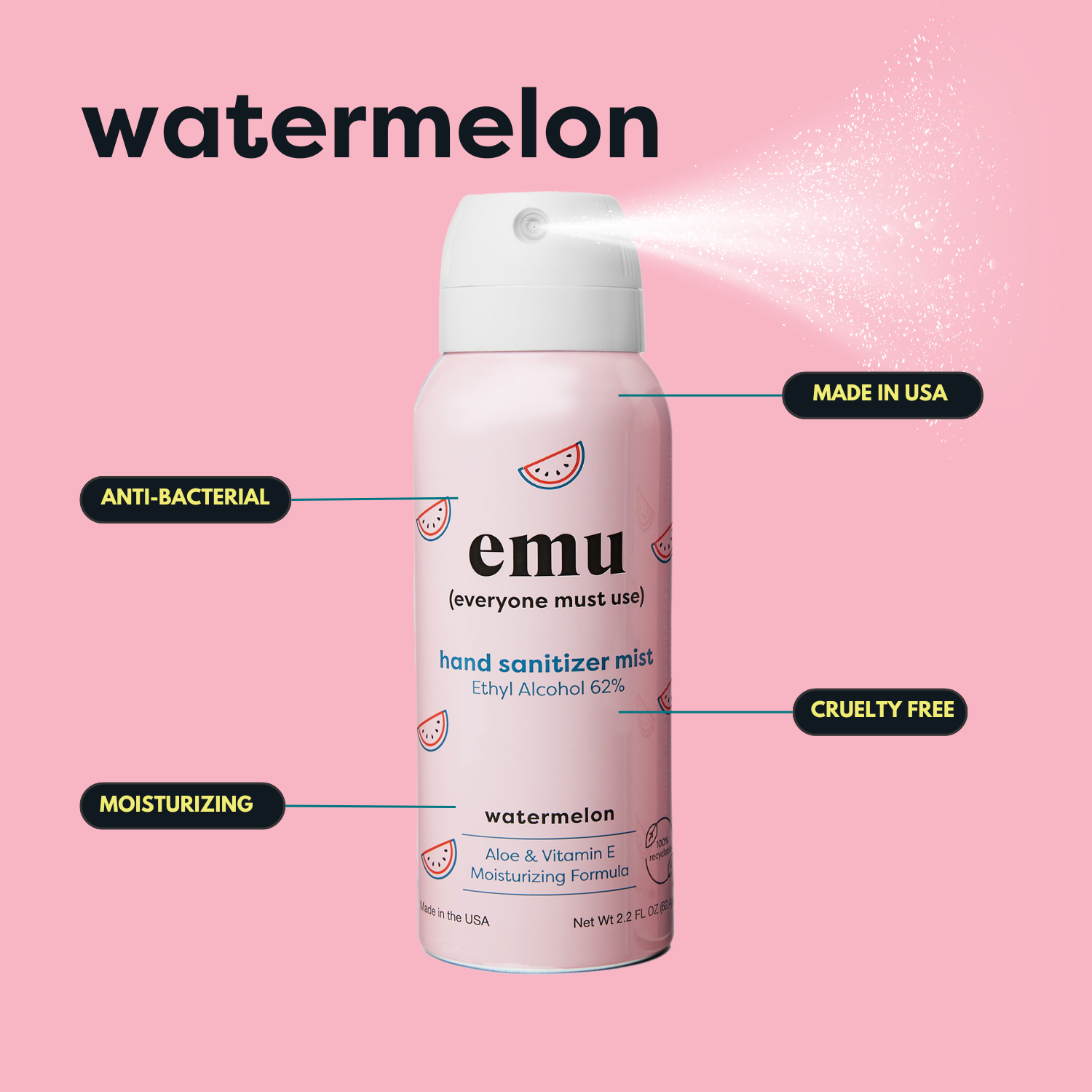 Watermelon Moisturizing Sanitizer Mist 2.2oz - 24 Pack