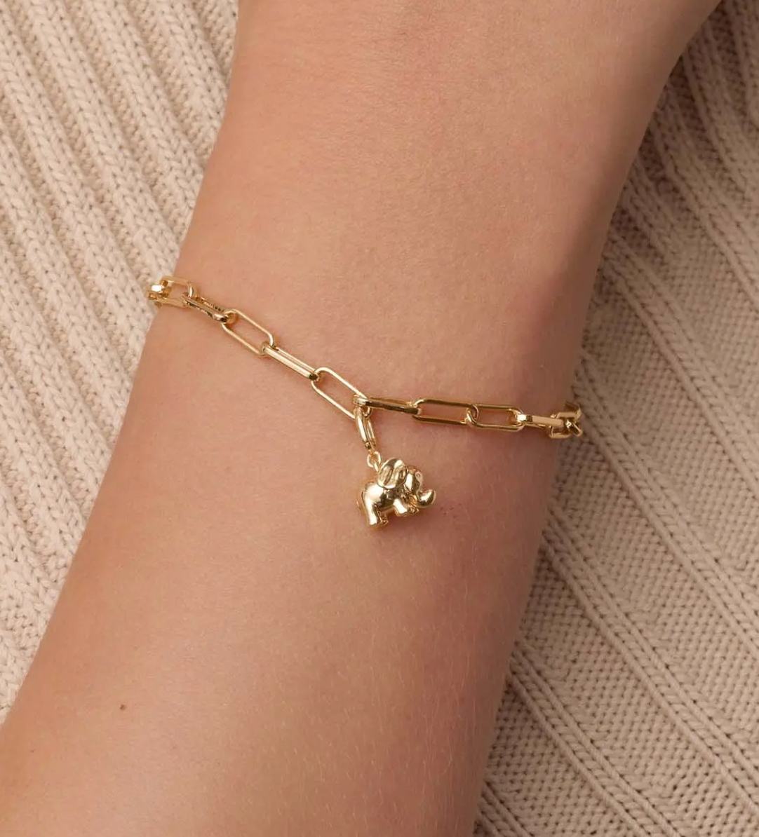 Elephant Parker Charm