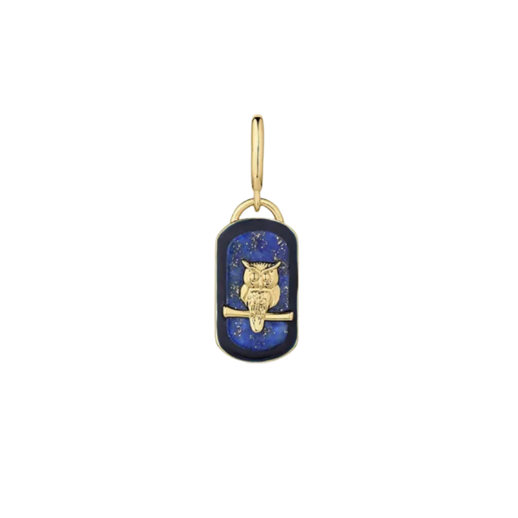Power Gemstone Wisdom Parker Charm