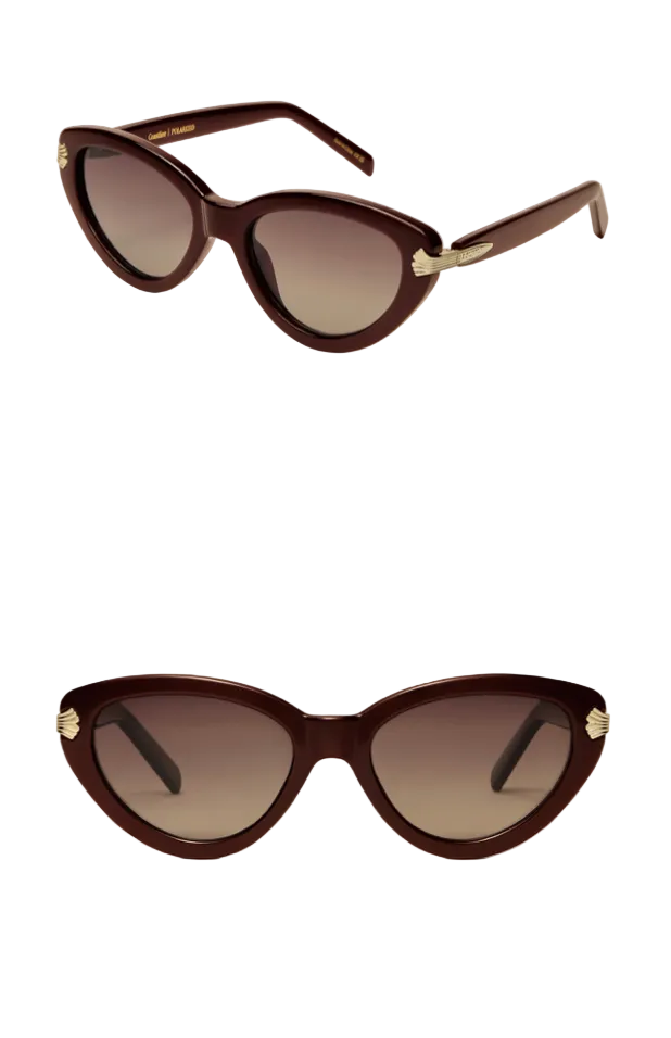 Z Supply Coastline Sunglasses with medium cat-eye frame and polarized lenses for timeless everyday style