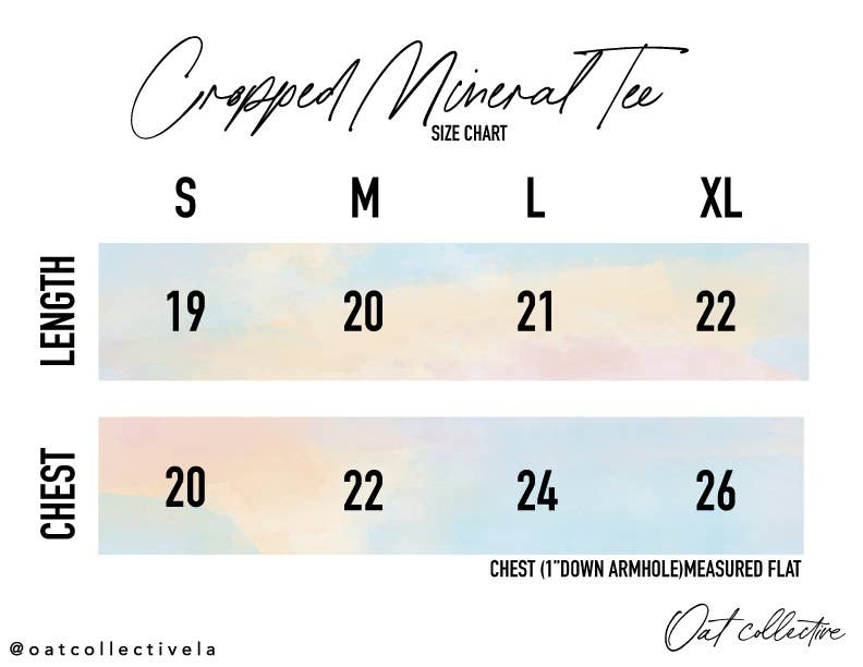 GAME DAY Cropped Mineral Graphic Top