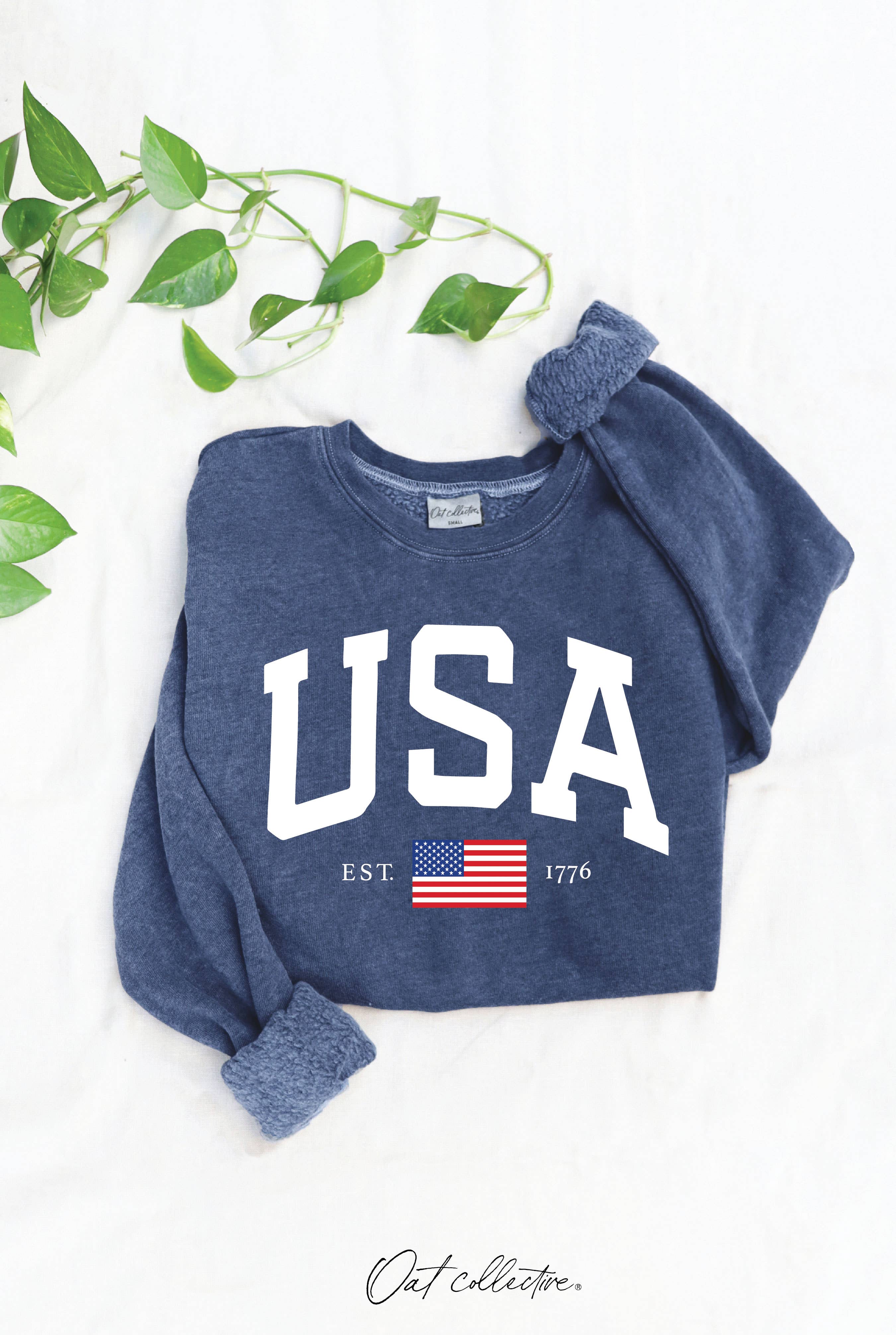 USA EST.1776 Mineral Graphic Sweatshirt