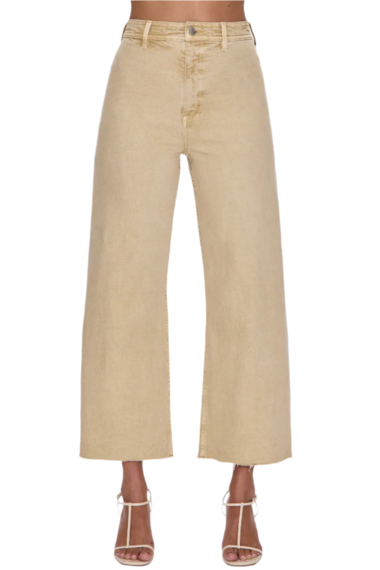 Penny Crop / Sand Dollar