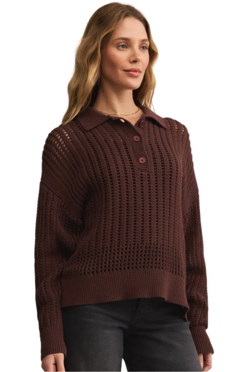 LOOKING GLASS CROCHET POLO SWEATER