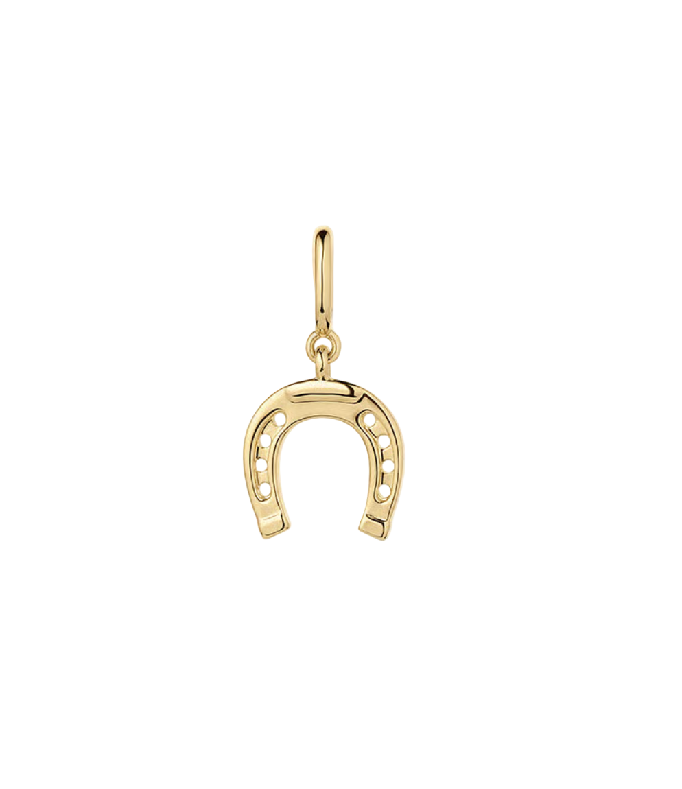 Horseshoe Parker Charm