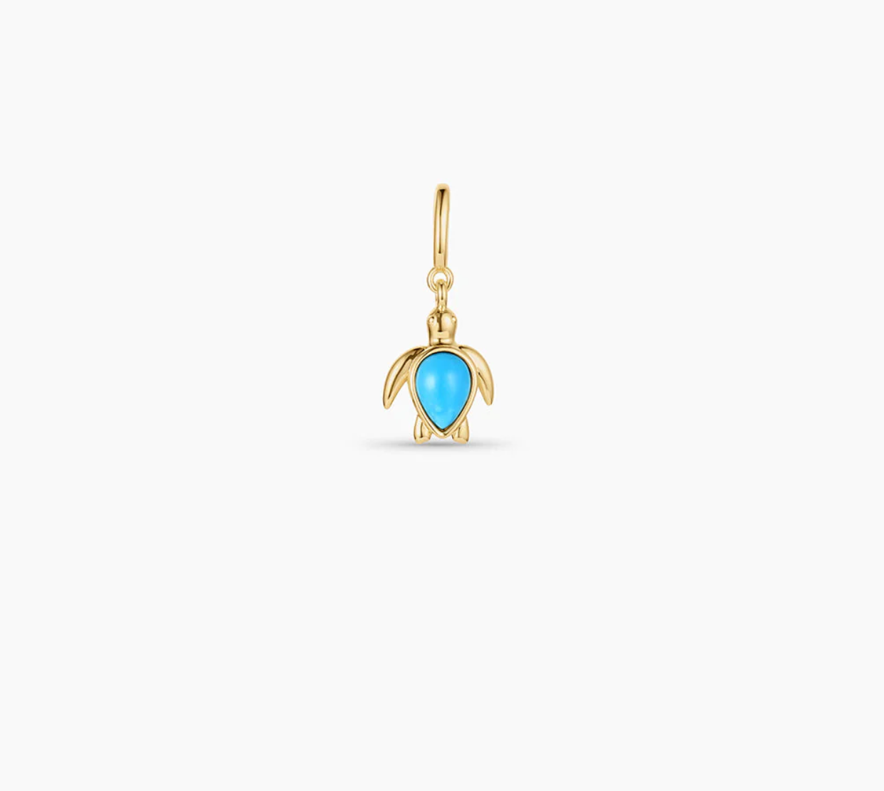 Turtle Parker Charm